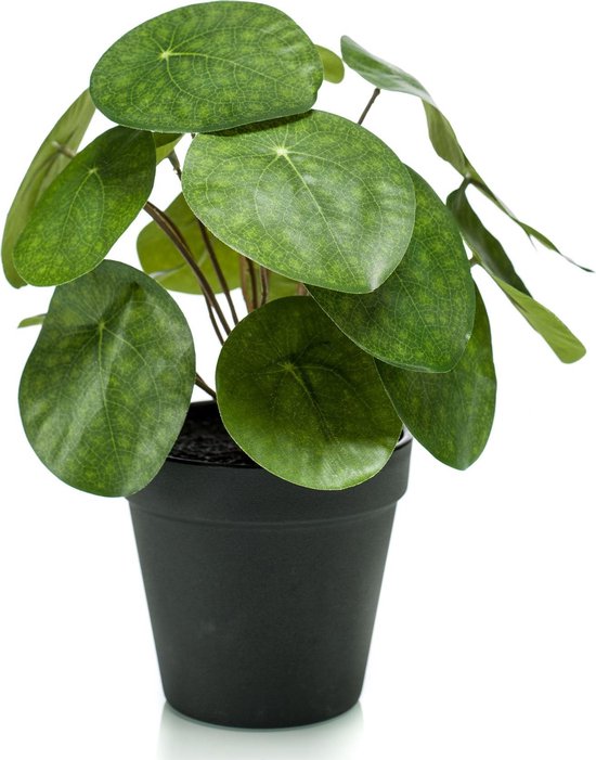 Plantophile - Kunstplant Pilea in pot - per stuk