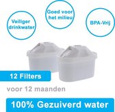 PREMIUM voor BRITA MAXTRA Waterfilter 12 Stuks Water filter patronen voor 12 Maanden Gezuiverd Water -Waterontharding -Waterontkalker -Waterzuivering Brita filterpatronen BPA-Vrij