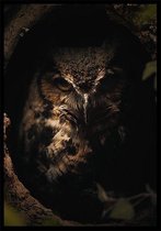 Punt. Poster - Dark Owl Botanische Jungle Dieren - 42 X 29.7 Cm - Zwart
