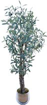BaykaDecor Hoge Kunst Olijfboom met pot - Hyperrealistische - 150 cm - Hoogste Kwaliteit - Kunstplant Binnen of Buiten - Olea