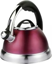 Klausberg KB-7209 fluitketel - 3L - rvs - alle warmtebronnen