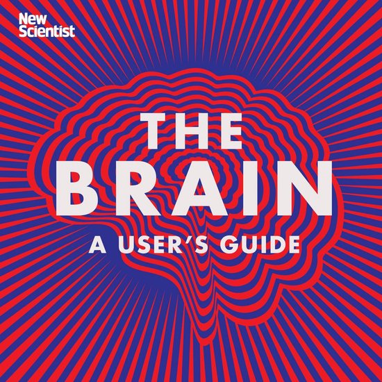 The Brain - cover
