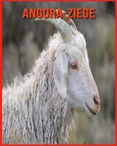 Angora-Ziege