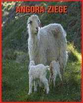 Angora-Ziege
