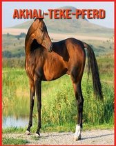 Akhal-Teke-Pferd
