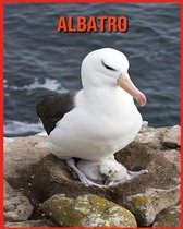 Albatro