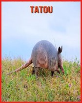 Tatou