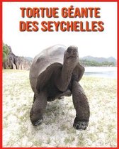 Tortue Geante des Seychelles