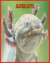 Axolotl