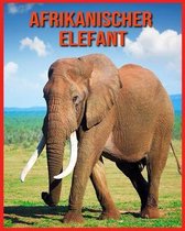 Afrikanischer Elefant