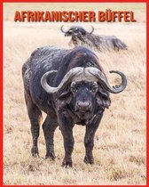 Afrikanischer Buffel