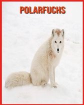 Polarfuchs