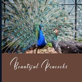 Beautiful Peacock