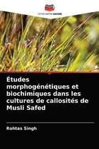 Études morphogénétiques et biochimiques dans les cultures de callosités de Musli Safed