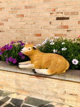 Texel schaap liggend 30 cm - polyresin - polystone - hoogkwalitatieve kunststof - decoratiefiguur - interieur - accessoire - voor binnen - voor buiten - cadeau - geschenk - tuinfiguur - tuinb