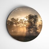 IDecorate - Schilderij - Sky Beams Natuurprint Fotoprint - Bruin, Geel, Grijs En Oranje - 40 X 40 Cm