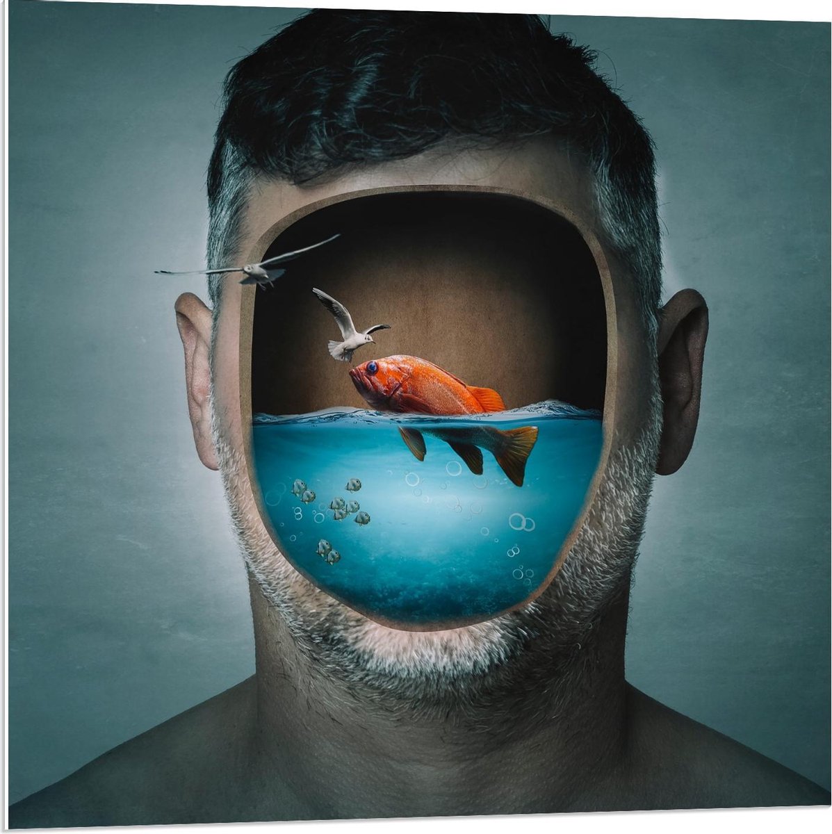 Forex - Aquarium Hoofd van Man - 80x80cm Foto op Forex