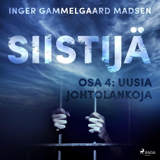 Siistijä 4: Uusia johtolankoja - cover