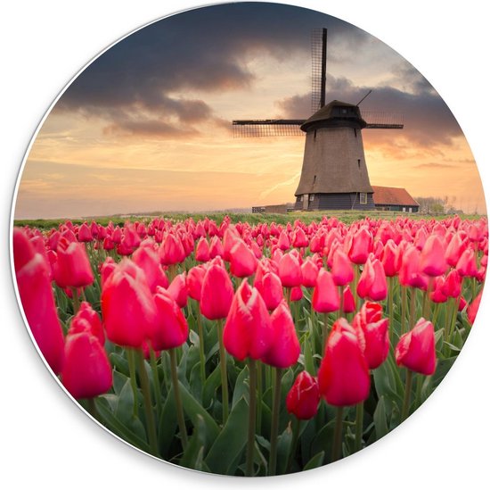 Forex Wandcirkel - Felroze Tulpenveld voor Nederlandse Molen - 30x30cm Foto op Wandcirkel (met ophangsysteem)