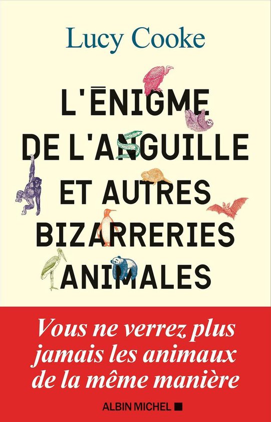 L'Enigme de l'anguille