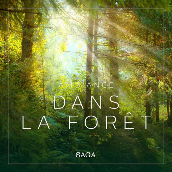 Ambiance – Dans la forêt - cover