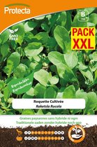 Protecta Groente zaden: Raketsla Rucola XXL