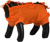 Grande Finale Medical Pet Suite, Oranje