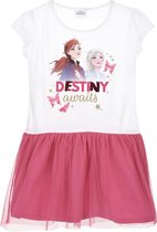 Disney Frozen jurk - Destiny awaits - wit/roze - maat 110 (5 jaar)