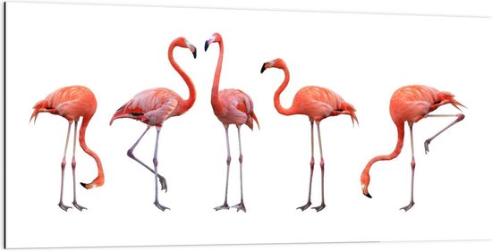 Dibond - Rij Roze Flamingo's op Witte Achtergrond - 200x100cm Foto op Aluminium (Wanddecoratie van metaal)
