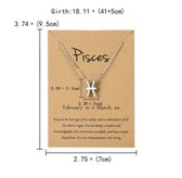 Akyol - Vissen ketting - Sterrenbeeld hanger - Zilverkleurig - Pisces