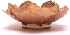 Yogi & Yogini Lotus Sfeerlicht - Beige - Capiz Bladvorm – Smoked Beige Goudrand 13,5 cm