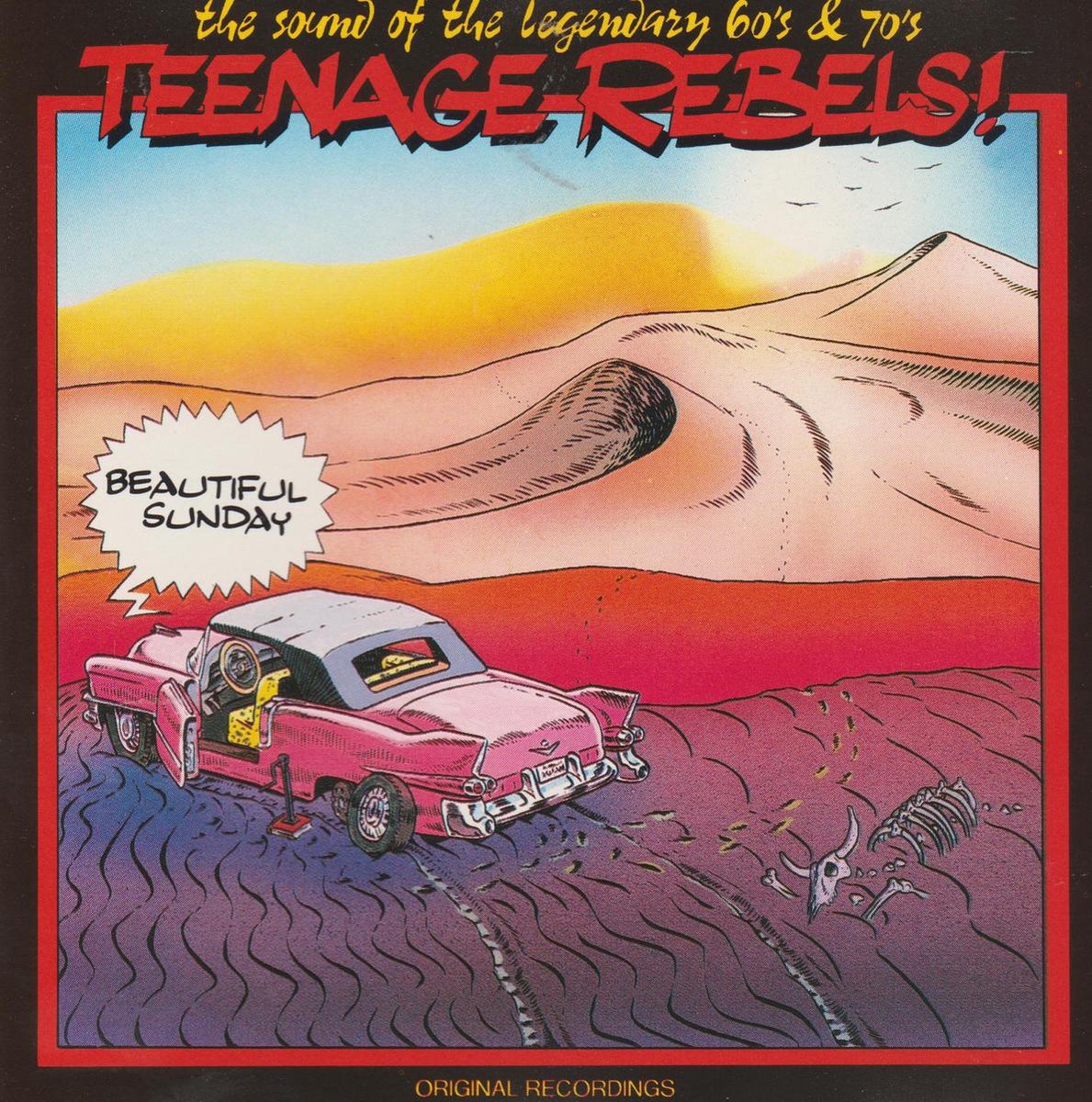 Various – Beautiful Sunday - Teenage Rebels!