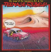 Various ‎– Beautiful Sunday - Teenage Rebels!
