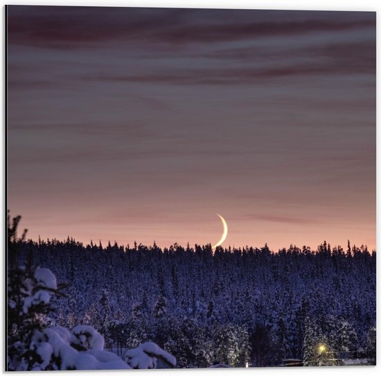 Dibond - Smalle Maan boven Bos - 50x50cm Foto op Aluminium (Wanddecoratie van metaal)