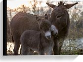 Canvas - Ezel met Babyezel - 40x30cm Foto op Canvas Schilderij (Wanddecoratie op Canvas)