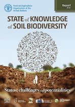 State of knowledge of soil biodiversity