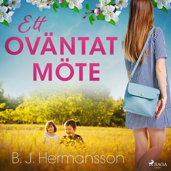 Ett oväntat möte - cover