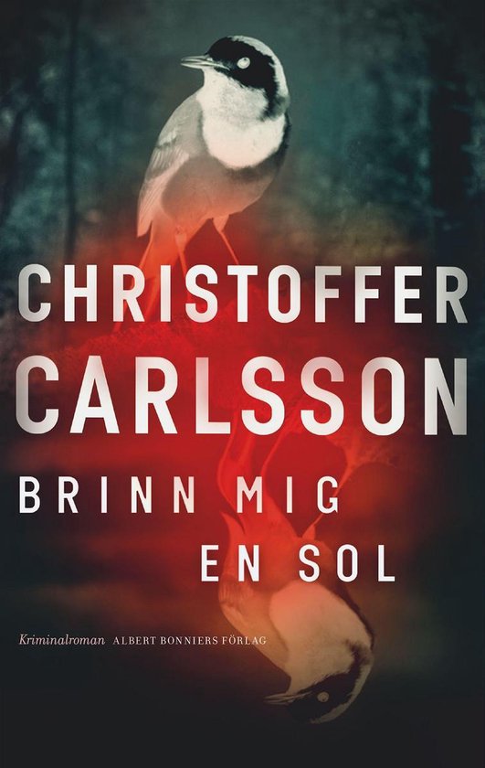 Boek cover Brinn mig en sol van Christoffer Carlsson (Onbekend)