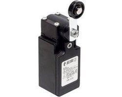 Pizzato Elettrica FR 531-M2 FR 531-M2 Eindschakelaar 250 V/AC 6 A Zwenkbare rolhendel Moment IP67 1 stuk(s)