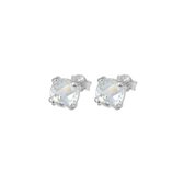Silventi 921182190 Zilveren Oorknopjes - Dames - Zirkonia - Vierkant - 7 mm - Rhodium - Zilver
