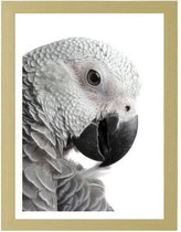 Foto in frame ,  Papegaai , 3 maten , Zwart wit , wanddecoratie , Premium print