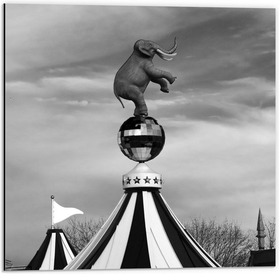 Foto: Dibond olifant op circustent zwart wit 50x50cm foto op aluminium met ophangsysteem 