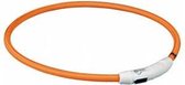 Trixie Halsband Hond Flash Lichthalsband Usb Tpu / Nylon Oranje - 65X0.7 cm