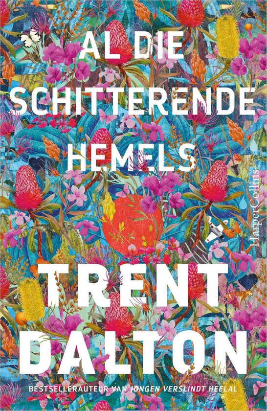 Al die schitterende hemels - cover