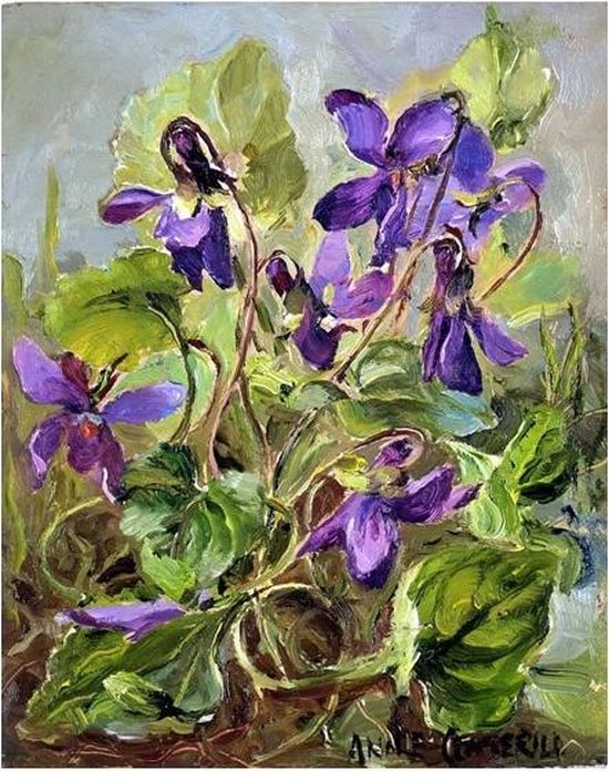 Cadeaukaart Maartse viooltjes 7,5x9,5cm
