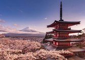 Pyramid Mount Fuji Blossom  Poster - 140x100cm