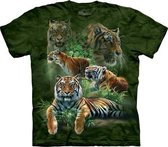 T-shirt Jungle Tigers XXL