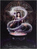 Canvas - The Summoning - Anne Stokes
