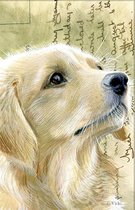 Dubbele kaart met env. Hond Golden retriever 11,5x17,5cm