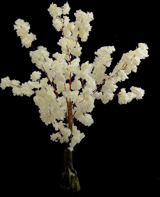 Witte Japanse bloesemboom – Bloesem – 1,20 Meter – Wit kleur